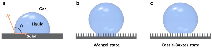 평탄면, Wenzel 상태와 Cassie–Baxter 상태의 액적 접촉을 비교한 리뷰 도식.