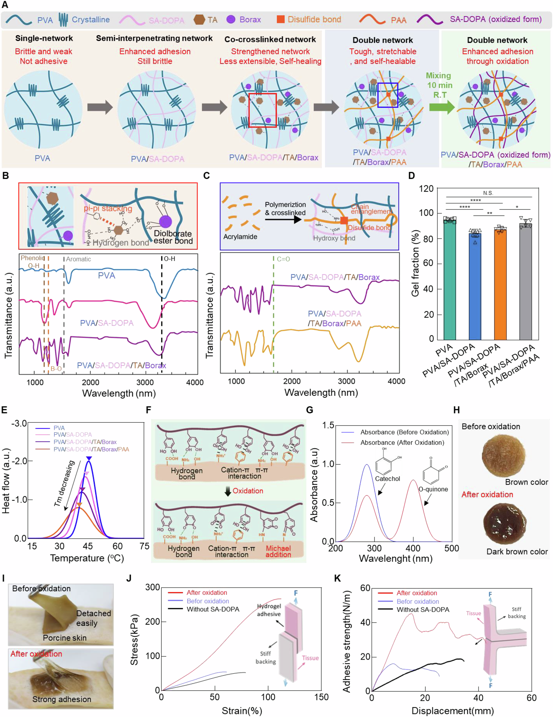 Eleven panels show STAT fabrication, spectroscopy, thermal analysis, oxidation-related color changes, skin-adhesion photographs and measurements.